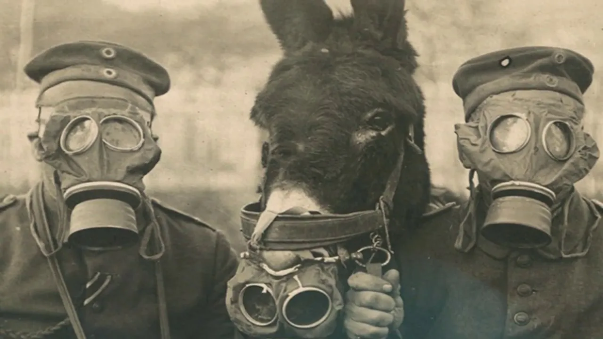 В Первой Мировой активно применяли химическое оружие. Сейчас оно запрещено, хотя инциденты, увы, бывают