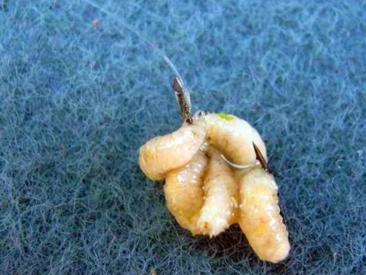 Фото с сайта: https://avatars.dzeninfra.ru