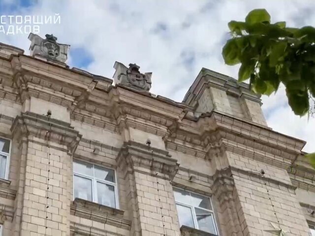    Фото: телеграм-канал "Настоящий Гладков"