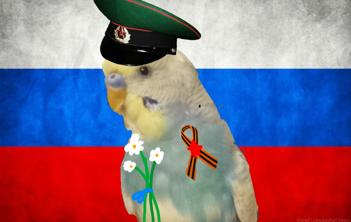 [🦜]- Поздравляю с 80 летием победы над фашизмом !  Будем надеяться что конфликт с Украиной скоро закончится. И спасибо за 19 птентчиков 🐦!