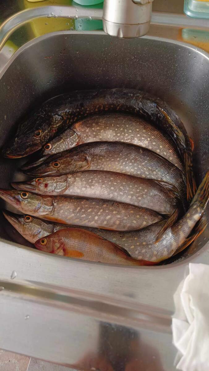 ВЕСЬ УЛОВ НА ОДНУ ВЕРТУШКУ , на китайскую версию!!!!!