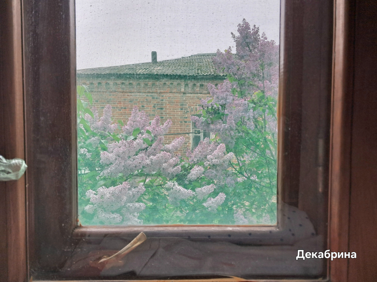 Стекло с зеленью из-за цвета москитной сетки.