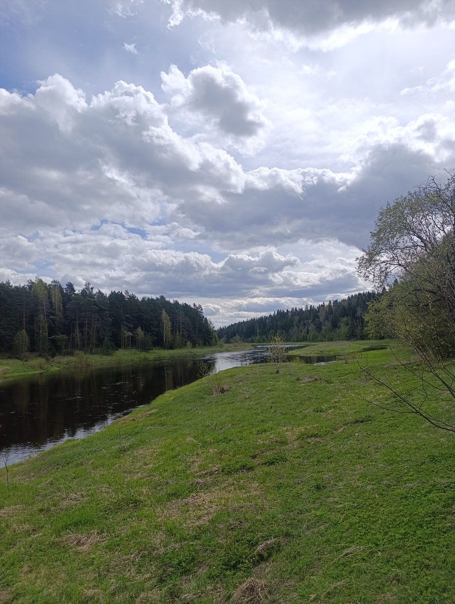 Река Тверца