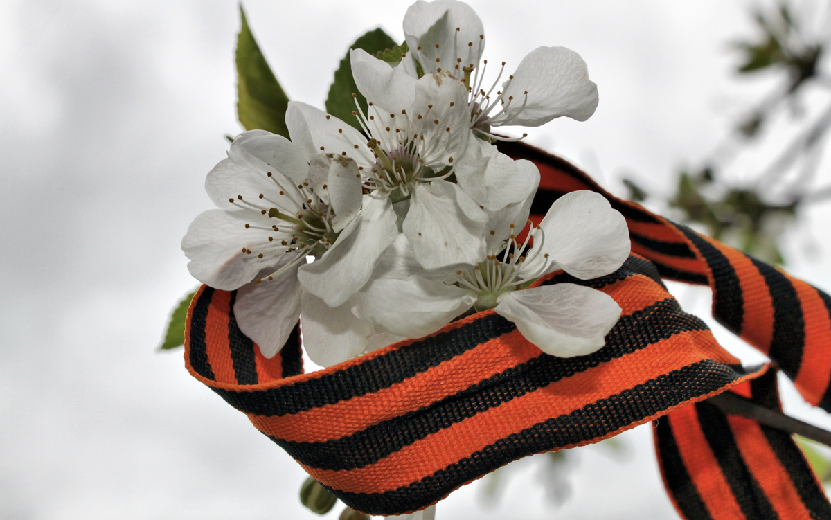 Из открытых источников