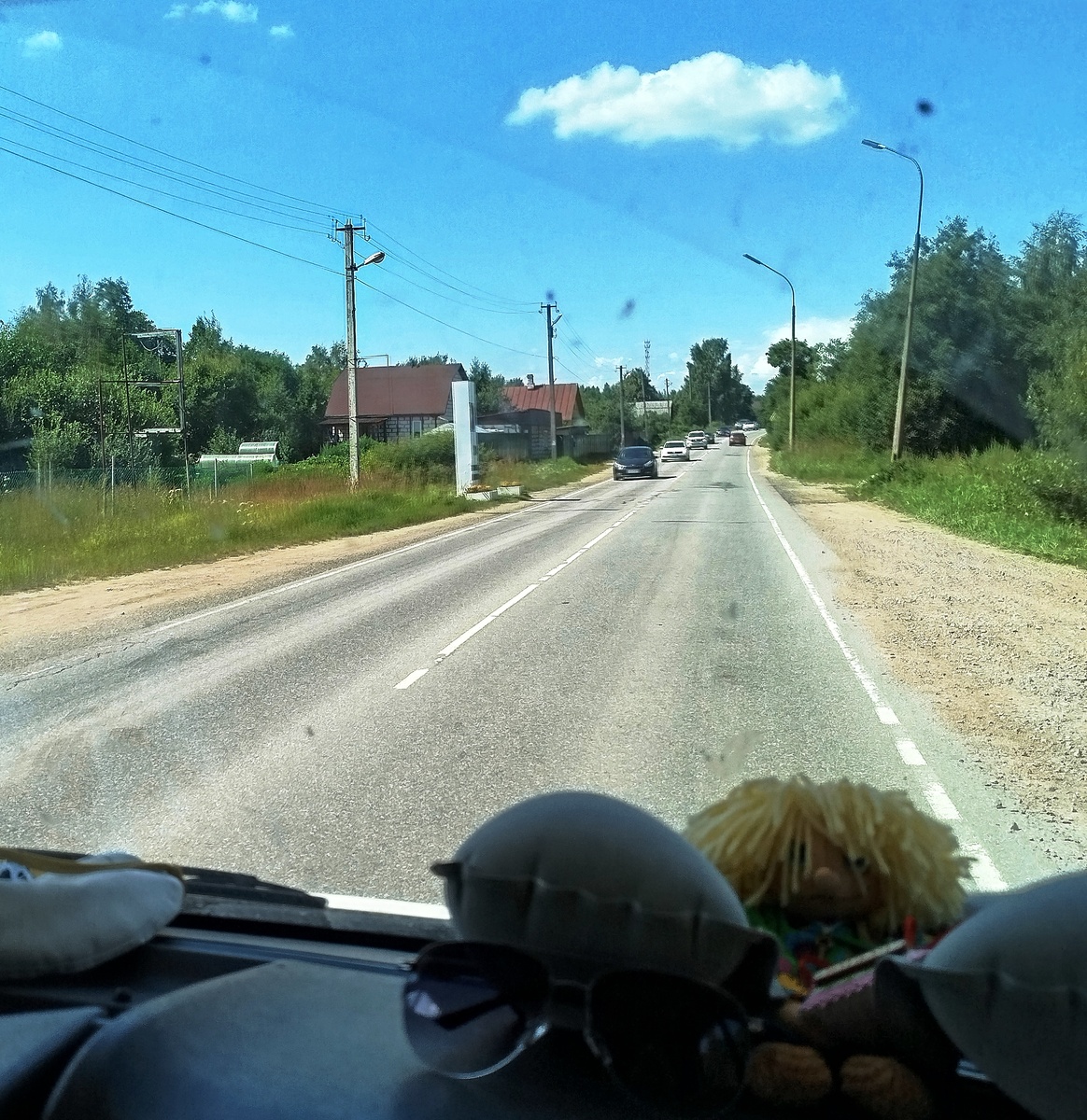 Дорога жихни