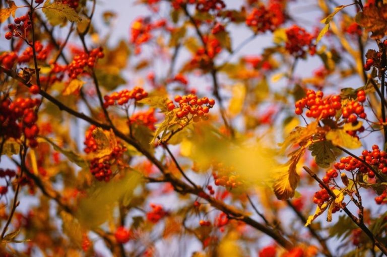    Фото: freepik.com/ wirestock Анна Мигинеишвили