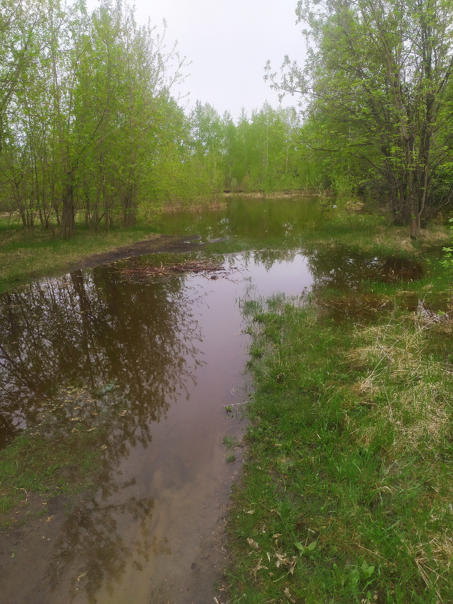 Та самая  затопленная  дорога вдоль берега р.Омь. Новосибирская область. 
