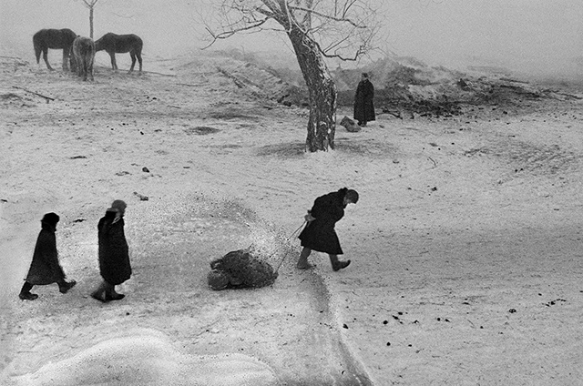 Концерты, выставки, спектакли. Тверичан ждут интересные выходные