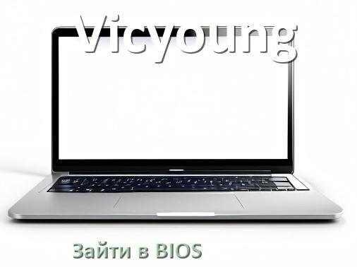 
Как на ноутбуке Vicyoung зайти в БИОС