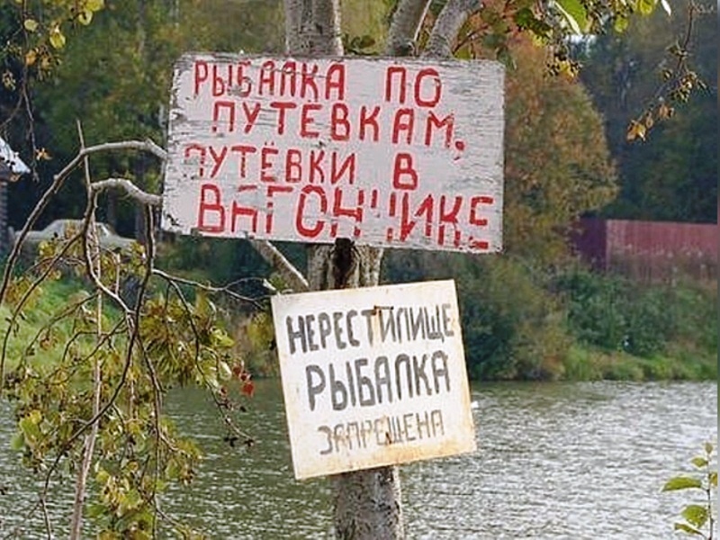 Фото: Андрея Яншевского