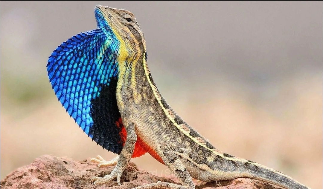  Да меня на руках носить должны, вы, ничтожные людишки!