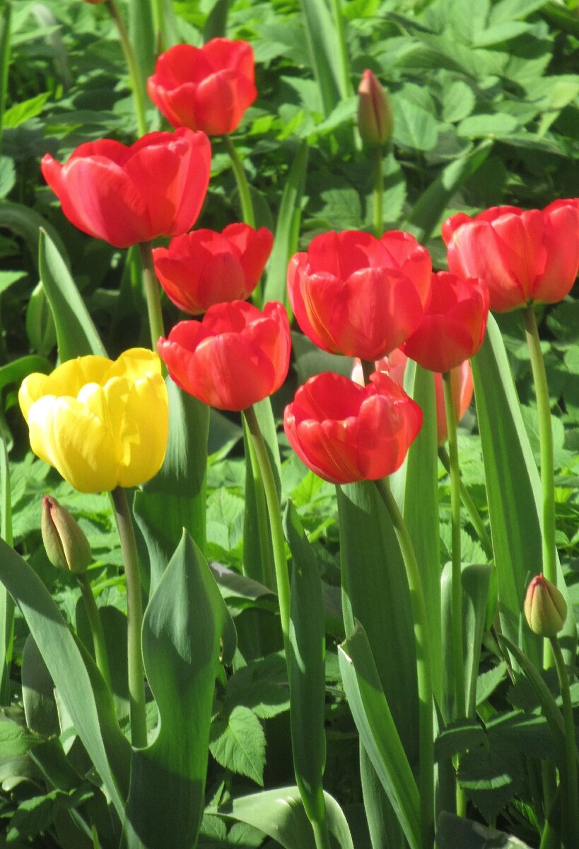 © Фото Марины Романовой 