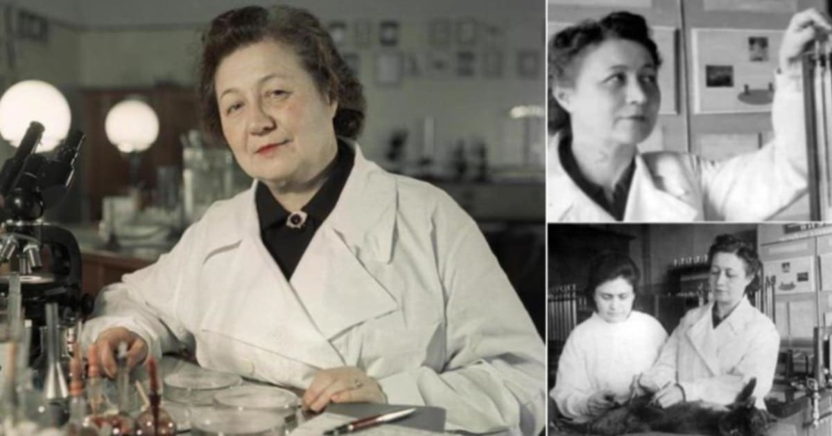 Зинаида Ермольева, начавшая разработку пенициллин в условиях блокады Ленинграда. Источник Яндекс.Картинки
