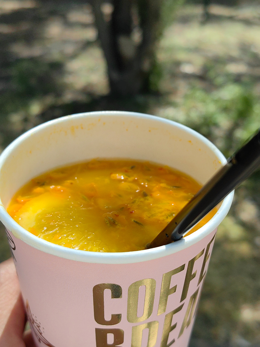 Сегодня. Фото автора канала