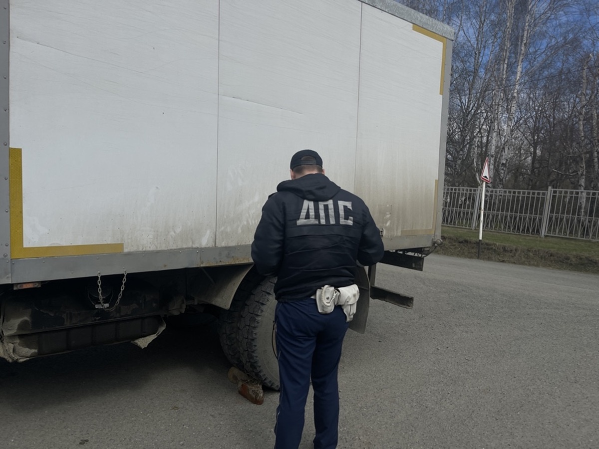 Фото: Госавтоинспекция Свердловской области  📷
