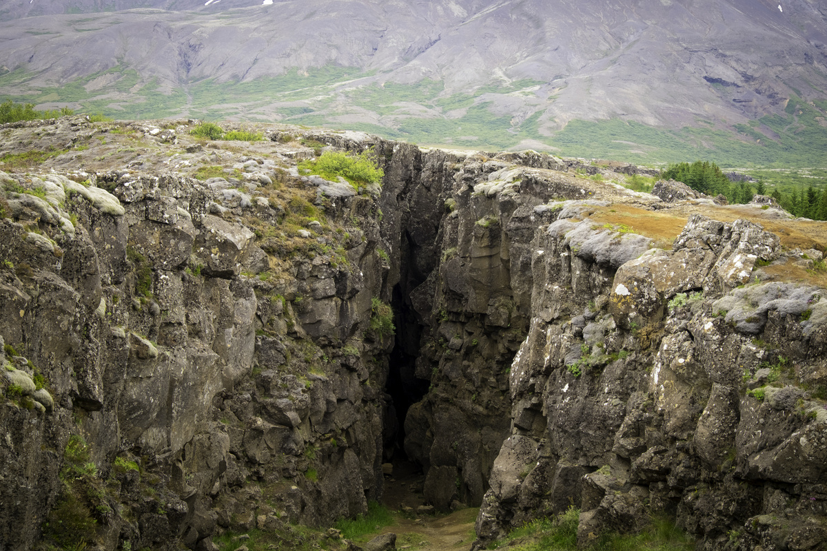    Фото с сайта pxhere.com