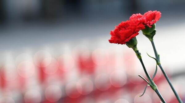    © Sputnik / Сергей Пятаков