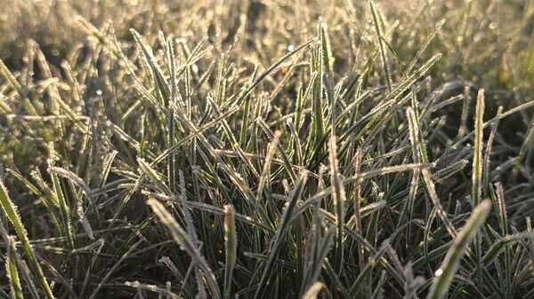    © Sputnik / Виктор Толочко