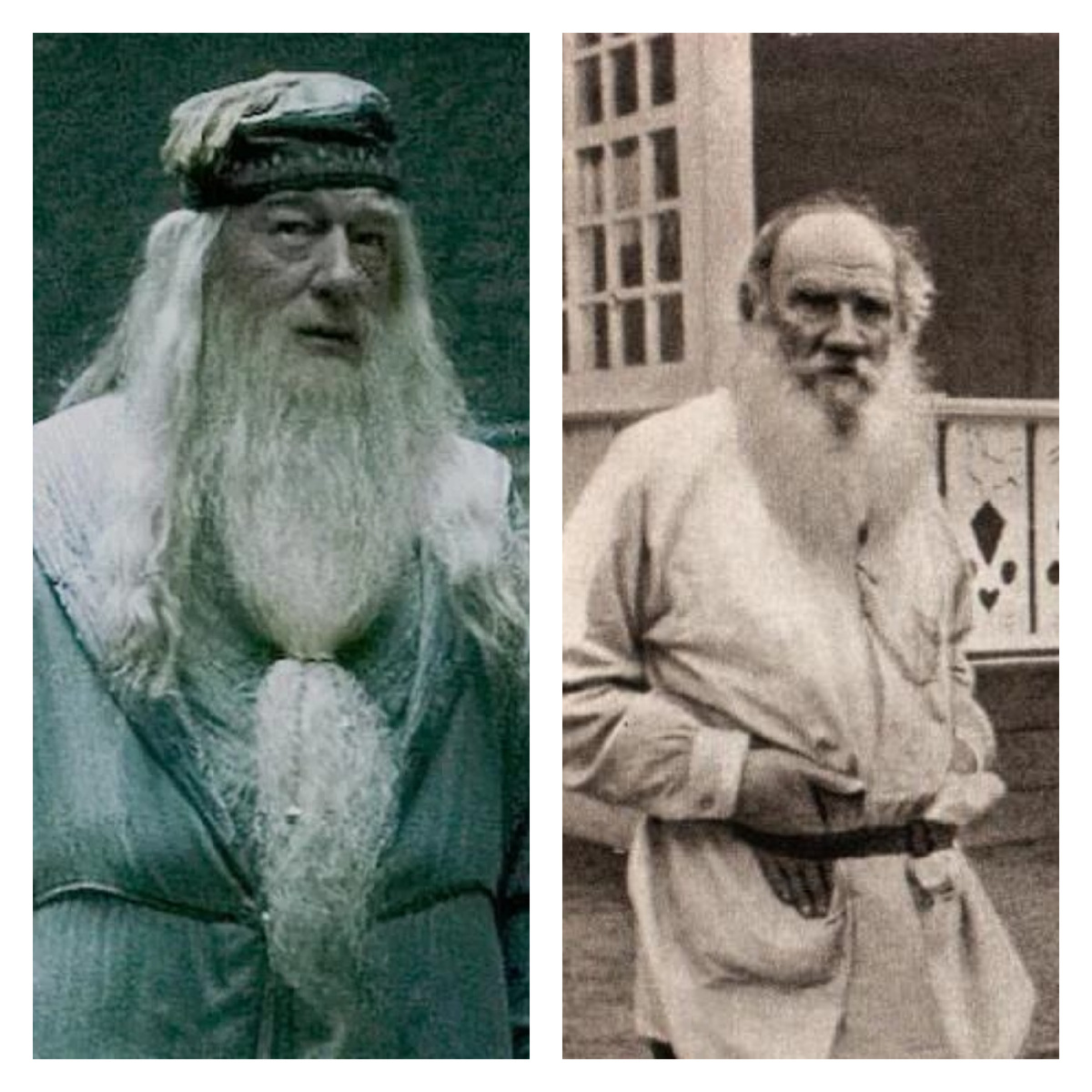 Коллаж: герой фильмов о Гарри Поттере профессор Дамблдор/Лев Толстой