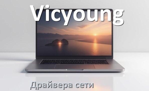 
Драйвера сетевого адаптера на ноутбук Vicyoung для Windows 11, 10 на 32, 64 бит