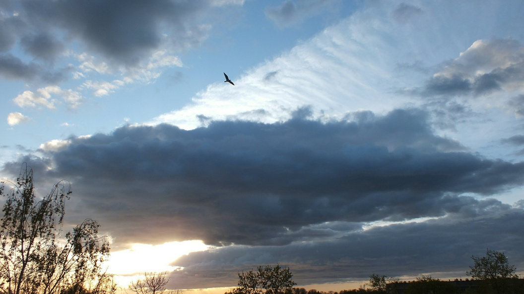    Victor Lisitsyn, Виктор Л/Global Look Press/Globallookpress