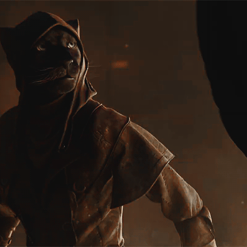 Когда исследователь пытается провести наблюдения за особенностями размножения