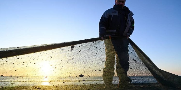    Игорь Онучин/ТАСС