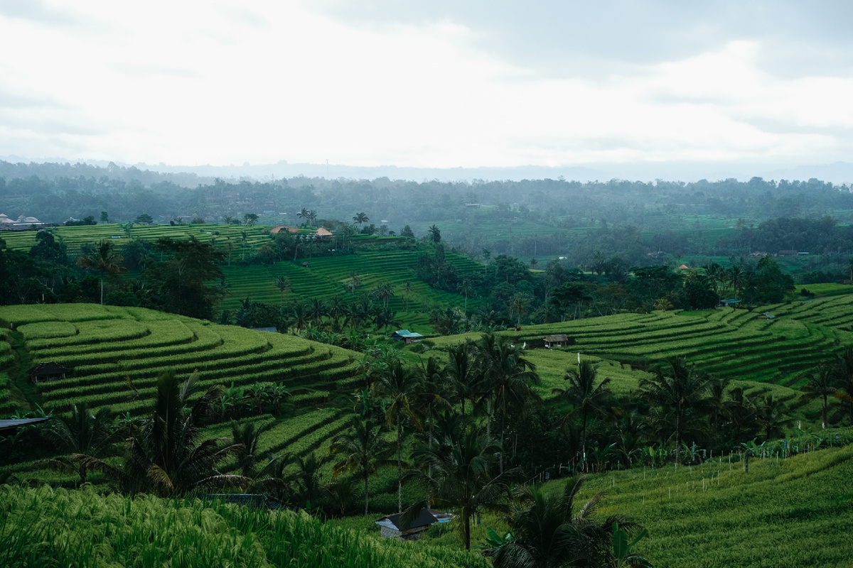 Все фотографии сделаны мной на Fujifilm XT-30