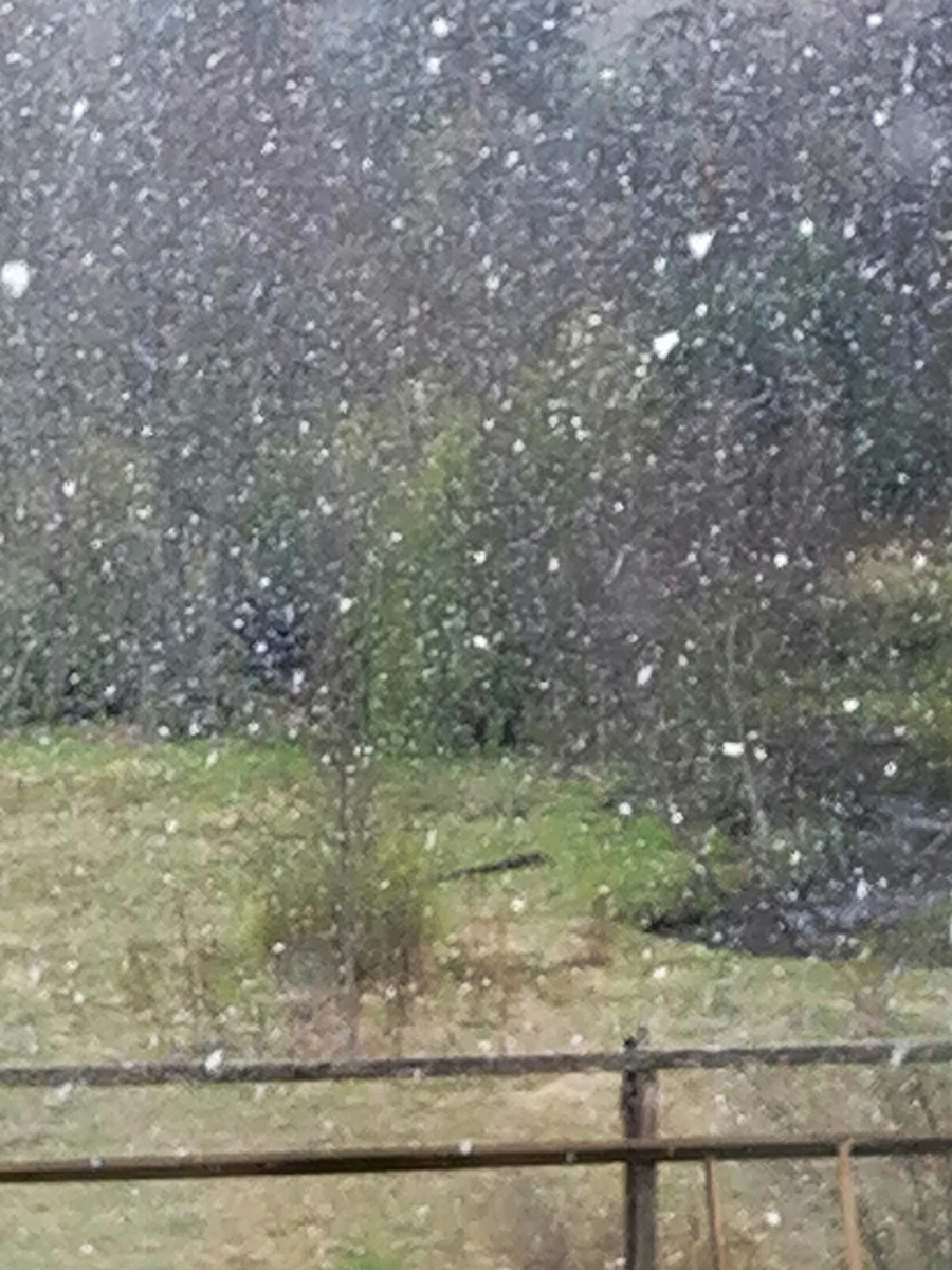 Снег идёт, летит и тает. 08.05.2025 