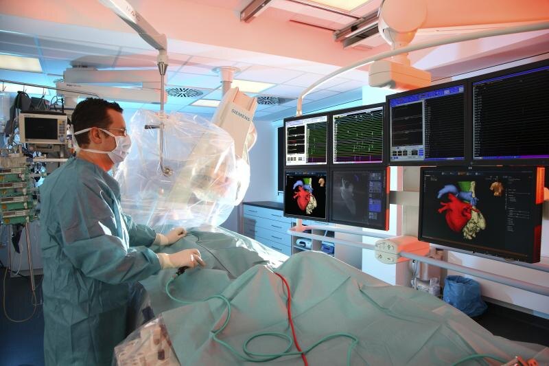    Фото: © Jochen Tack/imageBROKER.com/Globallookpress