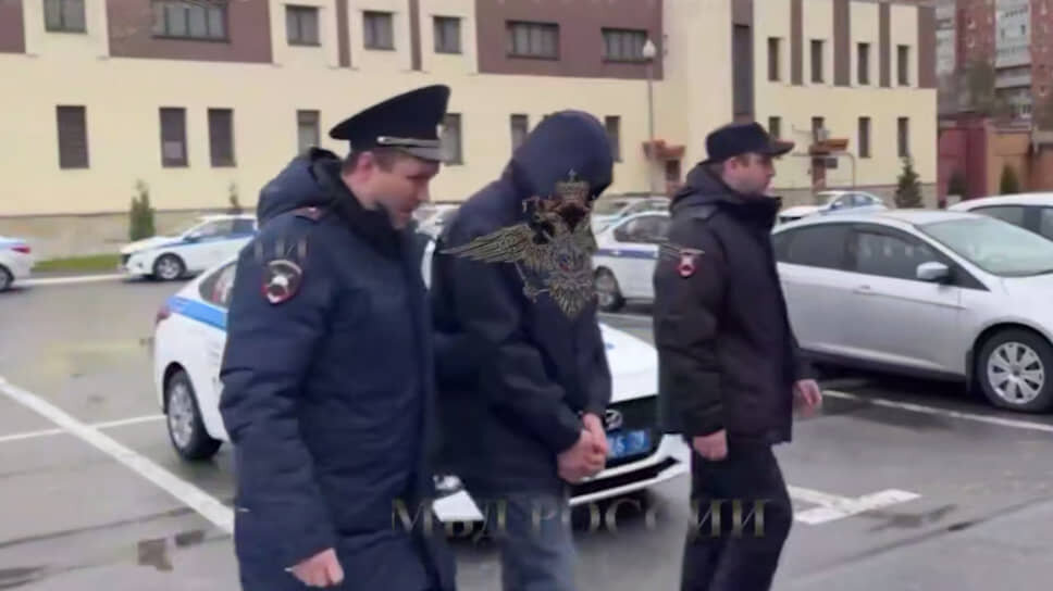 Фото: Официальный представитель МВД РФ Ирина Волк