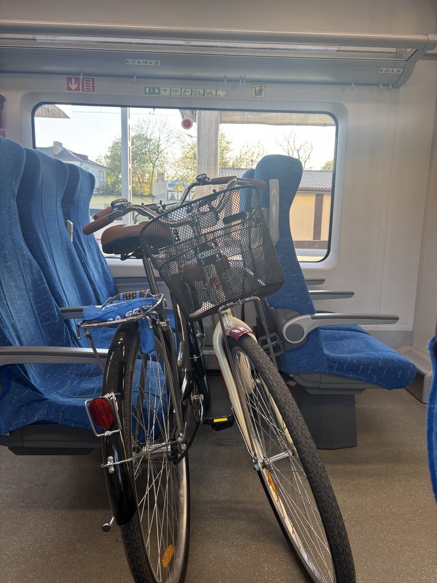 Электричка Пионерский-Зеленоградск с возможностью провоза велосипедов. Мы узнали про нюансы перевозки велосипедов только на обратном пути, поэтому до Зеленоградска они ехали так - в обычном вагоне. Повезло, что в апреле пока ещё не так много туристов и были места.