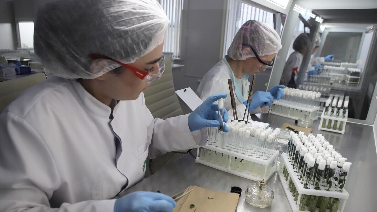 © Sputnik / Денис Абрамов