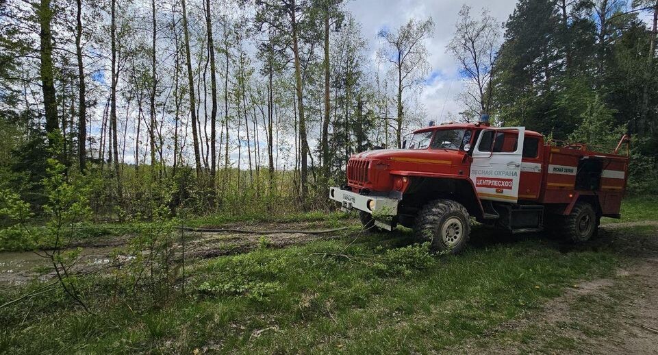    Комитет лесного хозяйства Московской области