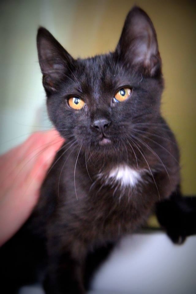 Ну давай, рассказывай!