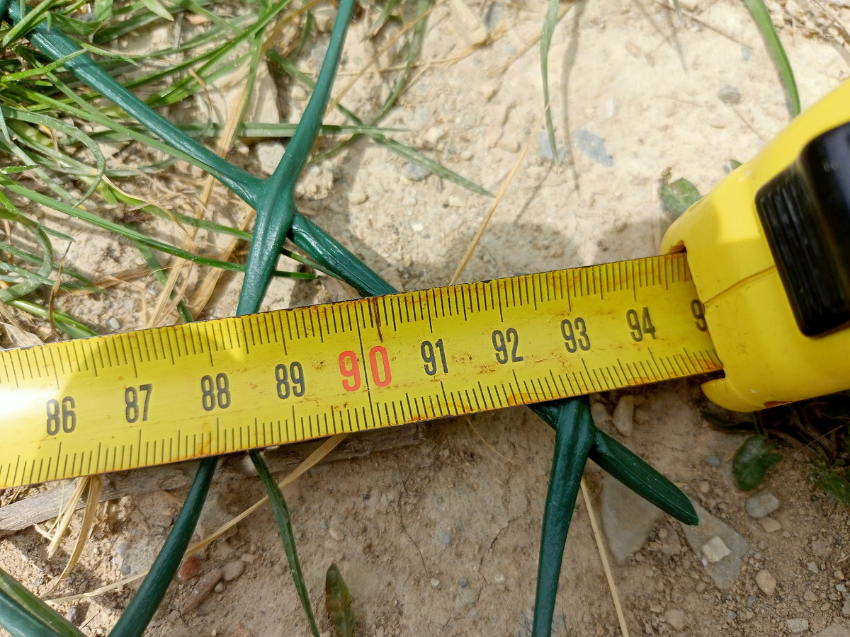 Вот ширина рулона реальная