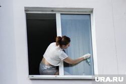  Сколько стоит в Кургане помыть окна  📷
