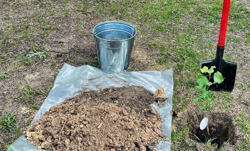 Фото: пресс-служба правительства Владимирской области.