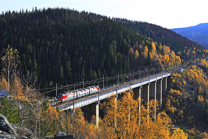 Козинский виадук. Фото с сайта  https://company.rzd.ru/ru/10112/page/564603?material_id=20. Взято с Яндекс.Картинки