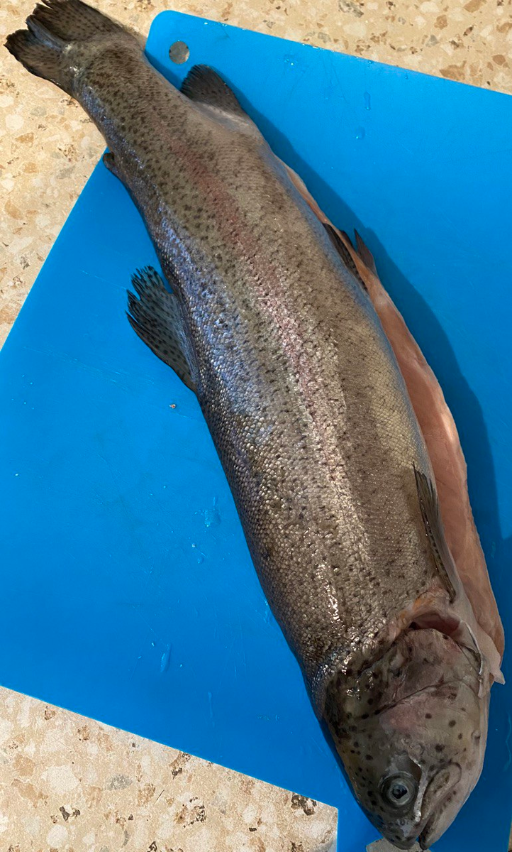 Форель! Красота и грация, созданные Творцом!