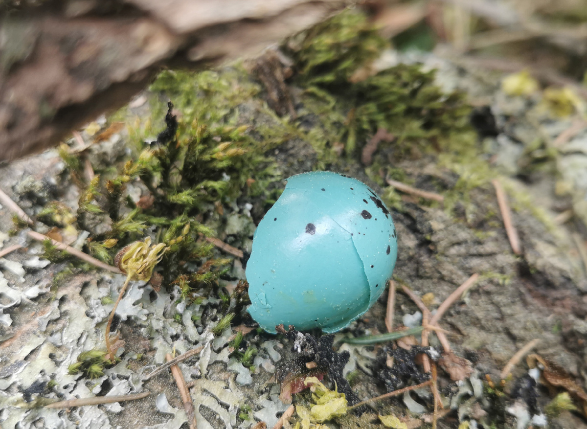 Какой модный цвет! 