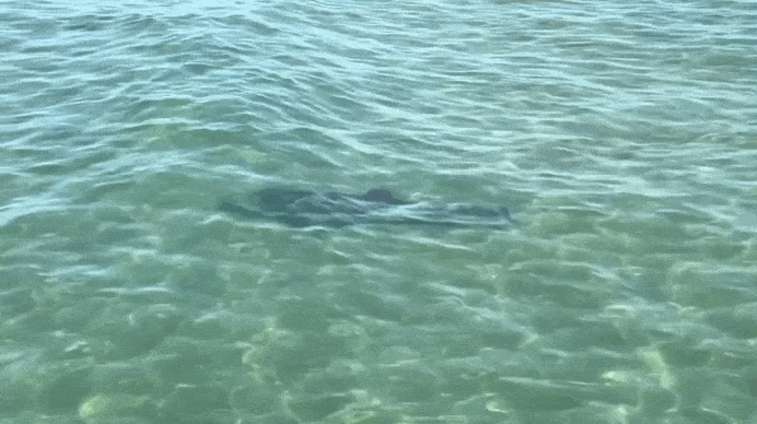 Видео от 6 мая 2025