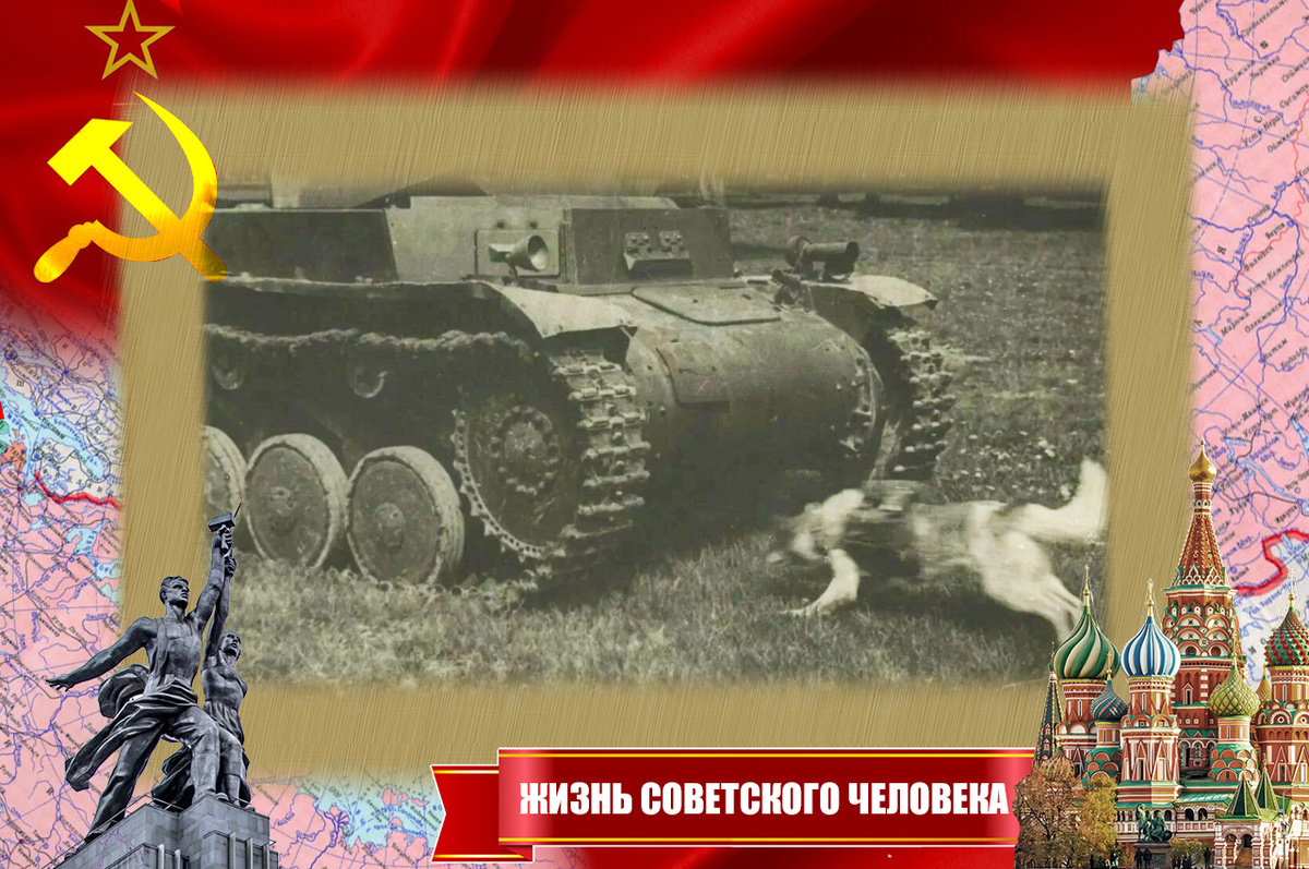 Обучение питомца на полигоне