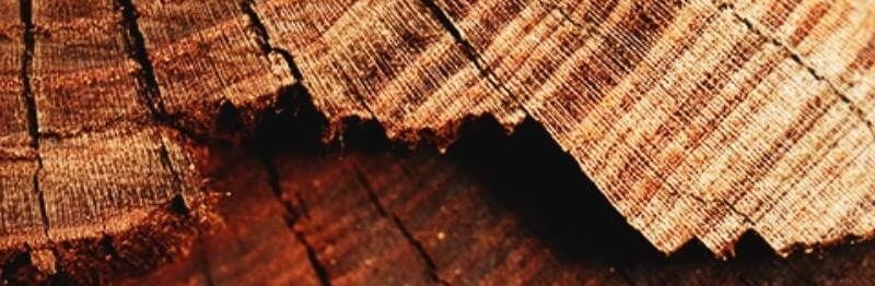 (Фото из интернета) 