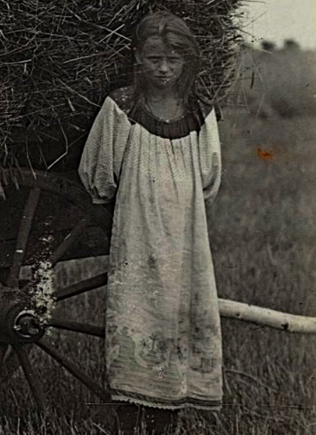 Девушка в вышитой рубахе. Возка снопов в Каргопольском уезде. Никольский И. А. 1901 г. ГИМ