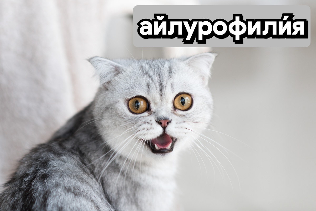 Изображение взято с сайта freepik.com