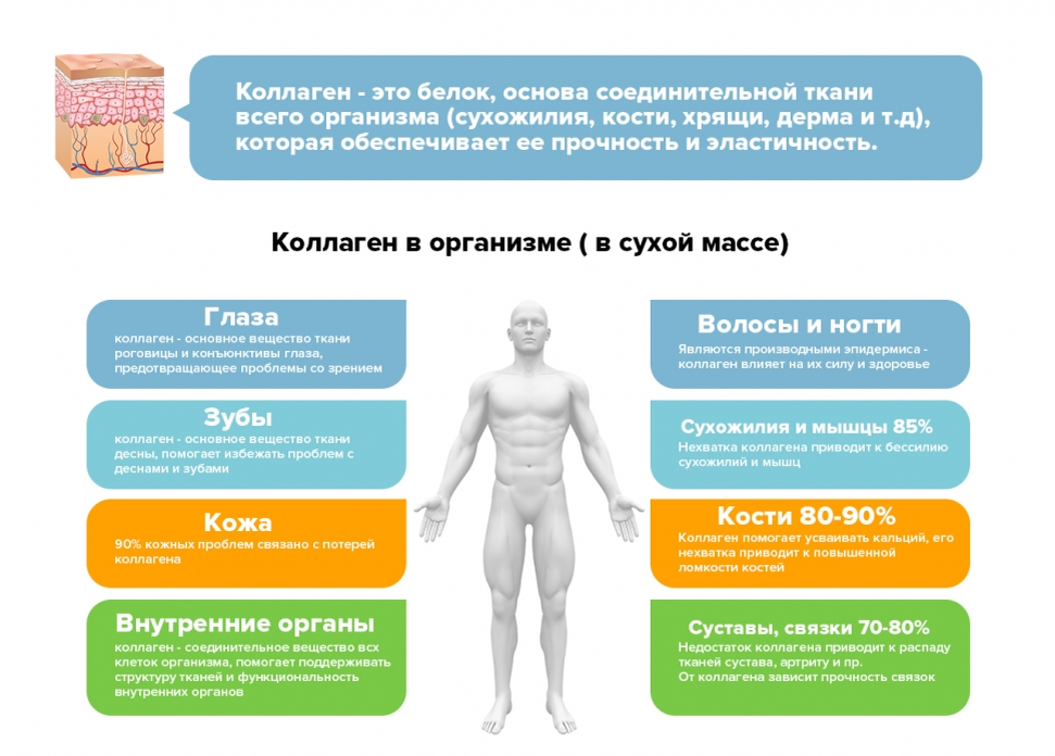 Источник: Яндекс.картинки.