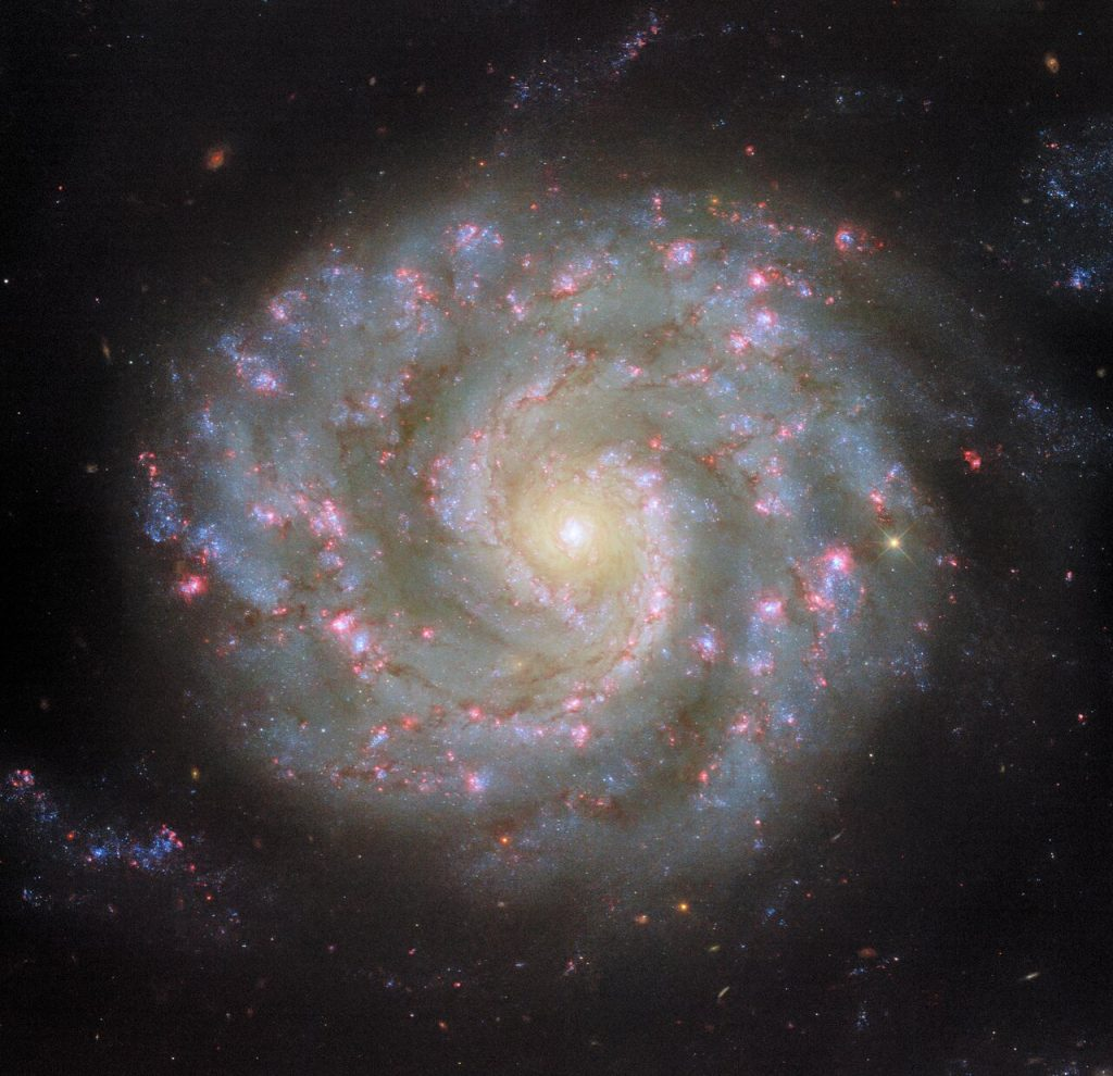 Спиральная галактика NGC 3596. Фото телескопа Hubble. Источник: ESA/Hubble & NASA, D. Thilker