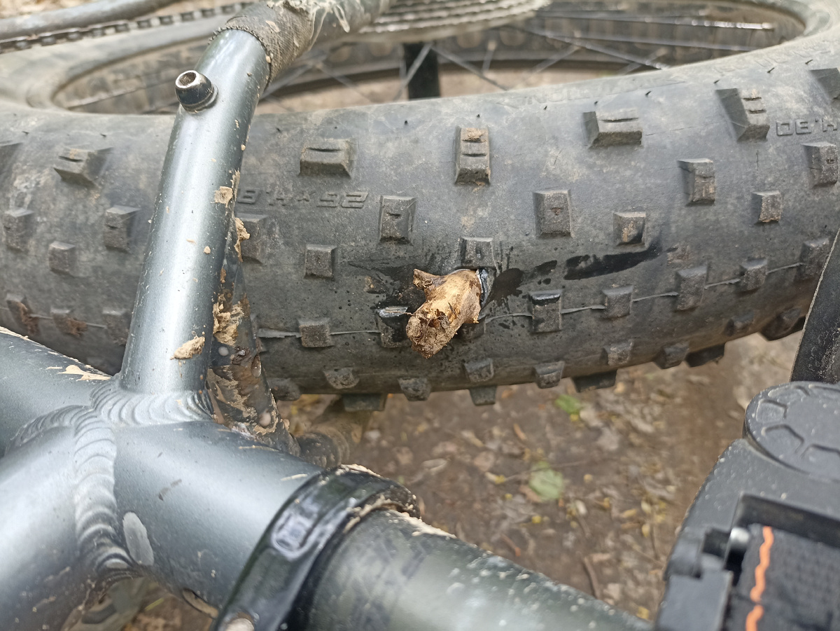 Палка в колесе