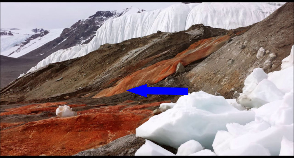 Кровавый снег Антарктиды ученые бьют тревогу а мир не верит